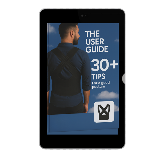 Guide